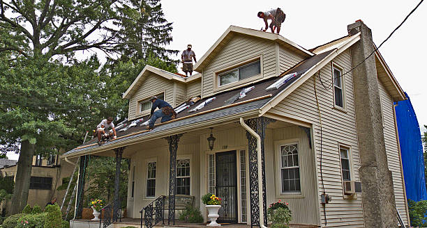 Best Roof Gutter Cleaning  in Oakfield, WI